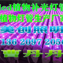 Ӧ300wֲ,ledֲƳ,ledֲ