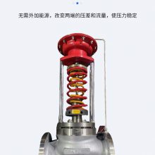 zzyp-40C/64p DN50ʽڷ ѹڷ ʽڷ Զ˷