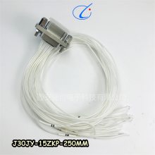 ε J30JY-15TJL-250MM  J30JY-15ZKP-250MM 괴