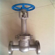 厂家直供 低温闸阀 Z41Y-10P 法兰连接 304不锈钢材质 硬密封闸阀 手动闸阀 DN350