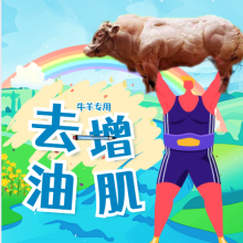 ţ ȥͳӼĤһɫ챦