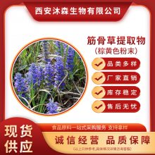 食品级筋骨草提取物厂家直供 植物提取物 当天发货 1kg起批