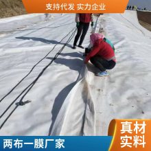 世杰 复合土工膜 垃圾填埋场防渗膜蓄水池两布一膜 抗撕扯 可定制