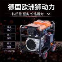 BT-190TSIͷ纸