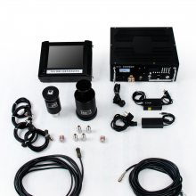 ZD29 ๦