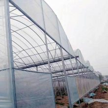 连栋薄膜温室 种植大棚 蔬菜花卉育苗 昱泰温室材料YTWSGX1768