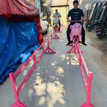 铁岭无动力游乐设备摇摇马亲子双人弹簧马小猪跑骑猪比赛