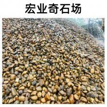 大块鹅卵石价格多少/广东景观石材批发市场/鹅卵石产地直发