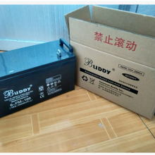 BUDDY6-GFM-65Ǧ12V65AHܴ۸