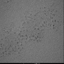 ̼ӵ-C dot
