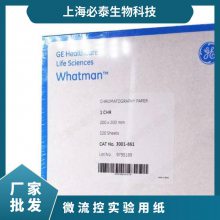 3001-861Whatman 1级色谱层析纸WB印迹纸200mm