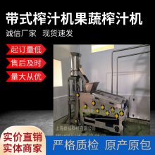 亘扬机械300-2T 果汁饮料生产线带式榨汁设备 果汁生产线