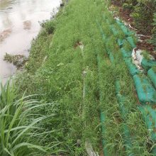 河流矿山复绿植草护坡修复用施工简单生态袋