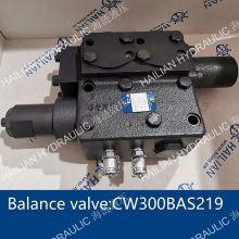 DownMax Balance Valve ƽⷧCW300BAS219