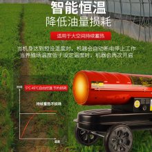 ���ʳ�������ֳ�������繤ҵȼ��ů�����������Ͳʽ�ȷ��