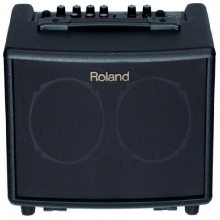  Roland AC-33 ԭ