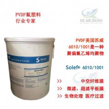 PVDF6010 0001ˮҵеճȷĩ