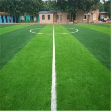 �ٲ�Ƥ�����̻��ص滧���˶��������ڸ�����ֲ��������ֲ�ٲ�ƺ