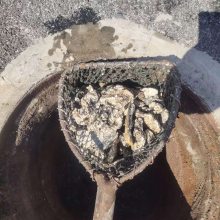上海青浦排污管道清理 市政管道CCTV检测 排污管道非开挖修复 排水箱涵清淤 工厂管道清理