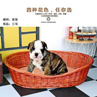 狗窩夏天藤編泰迪狗窩可拆洗貓窩小型犬貴賓大型犬寵物窩柳編產(chǎn)床