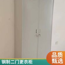 大空间现代简约钢制二门更衣柜 家庭用防火防磁两层置物柜