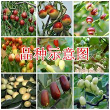 մƷ޽Ӷ磬