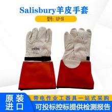 ƤILP-5SSalisburyȼ̵纸