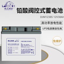 ʿDJM1238Sֱ12V38AHǦάUPSԴ