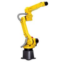 ǿƺӻ FANUC M-10iA е Զ ɭ