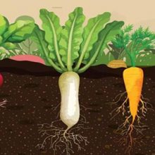 高通量土壤研磨仪|土壤样品前处理