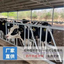 加厚热镀锌牛颈枷 养牛场养牛双开式牛颈夹 自锁式新型牛脖夹