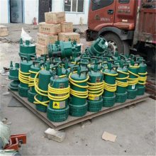 厂家发货BQS矿用防爆潜水泵 携带方便隔爆型潜水泵 BQS潜水泵
