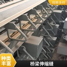 公路桥梁伸缩缝 E型C型F型Z型变形缝装置 来图定制