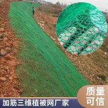 加筋麦克垫护坡网 三维植被网 绿化固土土工网垫 河道路基护坡