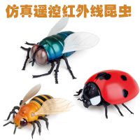 红外线遥控昆虫儿童电动益智玩具新奇特整蛊创意电子宠物塑料模型