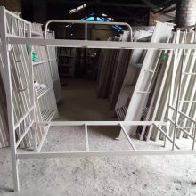 �����˱�ְ���������ܴ�SFѧ�����д��ߴ�ɶ�