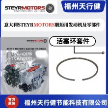 ÷Z002060-2нṩSTEYRMOTORS׼SE236E40