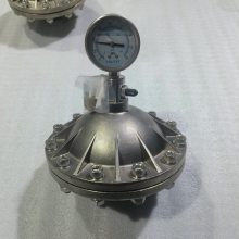 GHMZ-4.0L DN40 DN50 ĤƬʽ˿