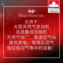 加拿大石油 Petro-Canada 天然气发动机油 SENTRON?