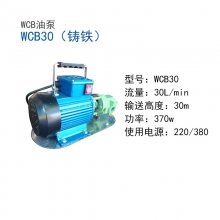 WCB30ͱ ʽ綯ͱ Һͱ
