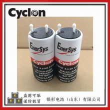 ŵ˹Cyclon0800-0004ҽе 2V-5.0AH