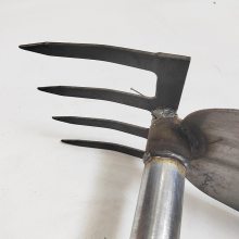 ;˫ͷݰɭ˫ͷӦԮó