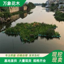 ���� ��̬�˹����� ��̬�޸�����ũ��ˮ����Ⱦ ����ʪ�ؾ���