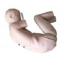 �Ϻ����w���Xϵ�y(t��ng)����ģ�͈�(b��o)�r(ji��) �Ϻ�����������Ƽ�����(y��ng)