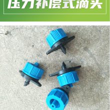 ιˮһ廯 ιˮһ廯װͼ