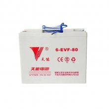 12V110AHӦԴ6-EVF-120H Ժ