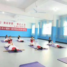 乐佑地板 定制PVC塑胶地板舞蹈训练营PVC地胶室内环保PVC地胶垫练功房PVC地板塑胶舞蹈地板