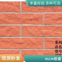 mcm ˫ƴɫש 2-4mm  ҽԺǽר ˼