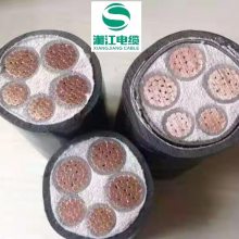 h潭|ͻ|NH-YJV NH-YJV22,***h(yun)||