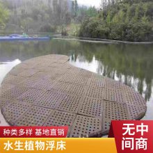 景观绿化水体人工环保生态浮岛 绿植物浮床 园林设计 包安装